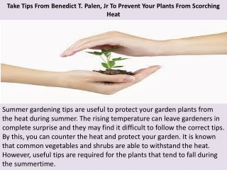 Take Tips From Benedict T. Palen, Jr To Prevent Your Plants From Scorching Heat