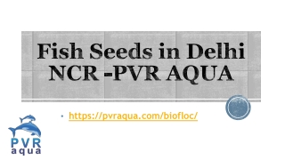 Fish Seeds in Delhi NCR -PVR AQUA