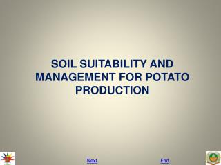 SOIL SUITABILITY AND MANAGEMENT FOR POTATO PRODUCTION