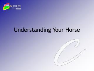 Understanding Your Horse