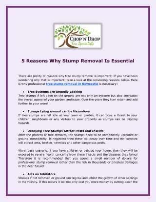 5 Reasons Why Stump Removal Is Essential