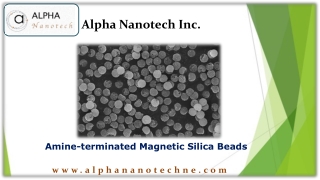 Amine-terminated Magnetic Silica Beads