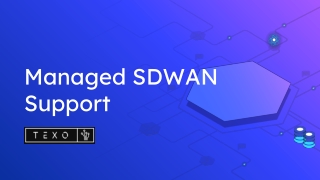 Managed SDWAN Support