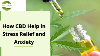 How CBD can Help in Stress Relief and Joint Pain | Shop CBD for Joint Pain