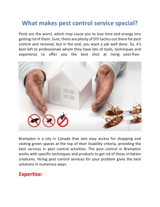 What makes pest control service special?