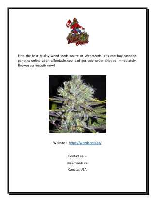 Premium Quality Weed Seeds | Weedseeds.ca