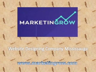 Website Designing Company Mississauga