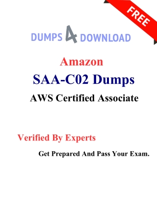 Ace Your SAA-C02 Exam with SAA-C02 Online Test Engine