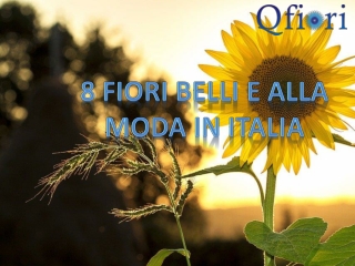 8 Attractive and special flowers in Italy