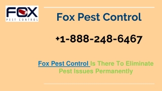 Fox pest control