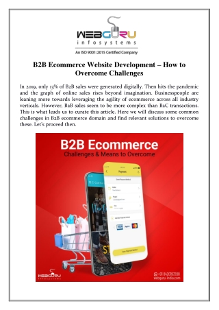 B2B Ecommerce Website Development – How to Overcome Challenges