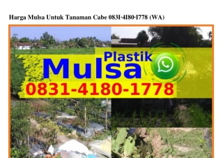 Harga Mulsa Untuk Tanaman Cabe Ô831418Ô1778{WhatsApp}