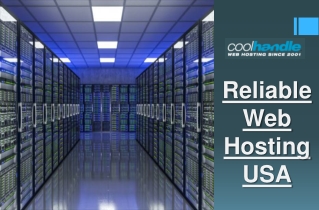 Reliable Web Hosting USA