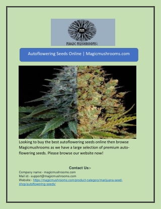 Autoflowering Seeds Online | Magicmushrooms.com