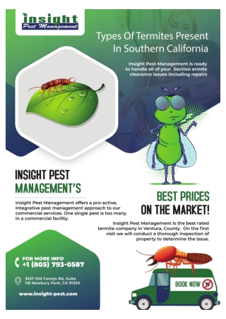 Ventura Pest Inspection | Spider Control Ventura,