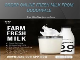 Order Farm-fresh Milk Online in Delhi-NCR