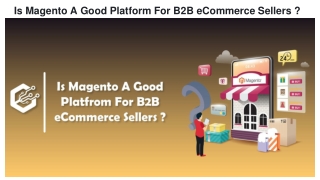 Is Magento A Good Platform For B2B eCommerce Sellers ?