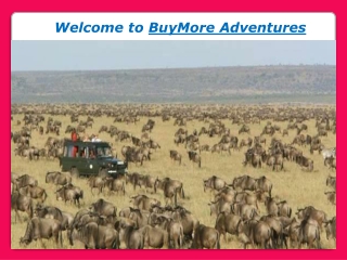 Exclusive Budget Safari for an Ultimate Travel Experience in Kenya