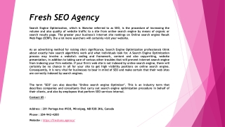 Fresh SEO Agency