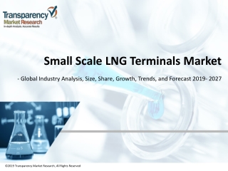 Small Scale LNG Terminals Market