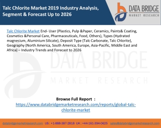 Talc Chlorite Market 2019 Industry Analysis, Segment & Forecast Up to 2026