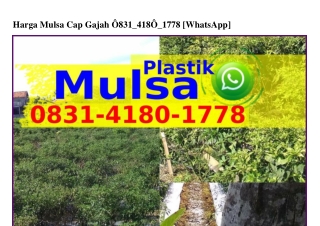 Harga Mulsa Cap Gajah Ô831.418Ô.1778{WhatsApp}