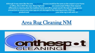 Area Rug Cleaning NM