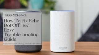 Why Echo Dot Offline 1-8007956963 Alexa Device Offline -Call Anytime