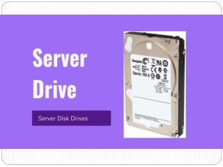 SAS 2.5IN DRIVES - Server Disk Drive