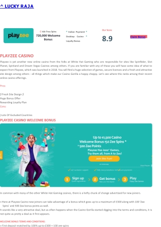 Playzee Casino Review