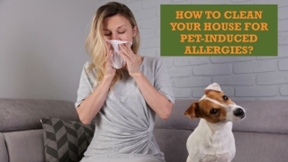 How to Clean Your House for Pet-Induced Allergies