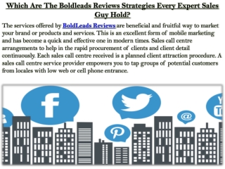 Which Are The Boldleads Reviews Strategies Every Expert Sales Guy Hold?