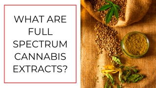 What Are Full-Spectrum Cannabis Extracts?