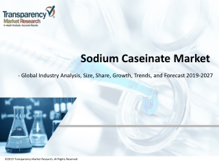 Sodium Caseinate Market - Global Industry Analysis, Size, Share, Growth, Trends, and Forecast, 2019 - 2027