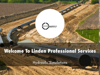 Detail Presentation About Linden Professional Services