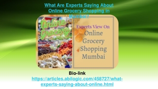 Experts View On Online Grocery Shopping Mumbai