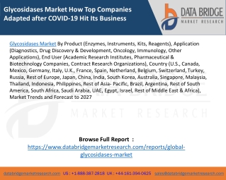 Glycosidases Market How Top Companies Adapted after COVID-19 Hit Its Business