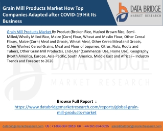 Grain Mill Products Market How Top Companies Adapted after COVID-19 Hit Its Business