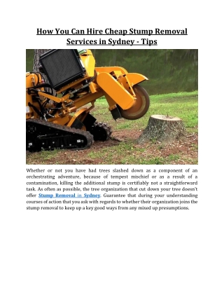 How You Can Hire Cheap Stump Removal Services in Sydney - Tips