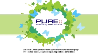 Pure Staffing Solutions | Leading Employment Agency in Canada