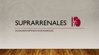 Suprarrenal Generalidades