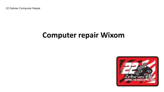 Computer repair Wixom | 22 Zebras Computer Repair
