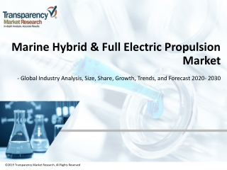 Marine Hybrid & Full Electric Propulsion Market