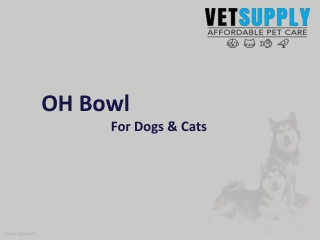 OH bowl For Dogs & Cats - Vetsupply