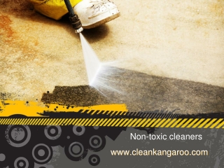 Non-toxic cleaners -www.cleankangaroo.com