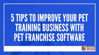 5 tips to improve your pet training business with Pet Franchise Software