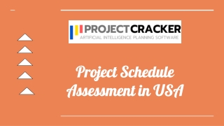 Project Schedule Assessment in USA