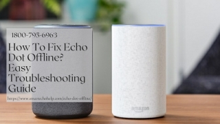 Echo Dot Offline 1-8007956963 Alexa Device Offline | Echo Offline