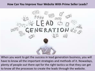 How Can You Improve Your Website With Prime Seller Leads?