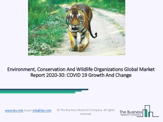 Environment, Conservation And Wildlife Organizations Market Analysis and Forecast Report 2030